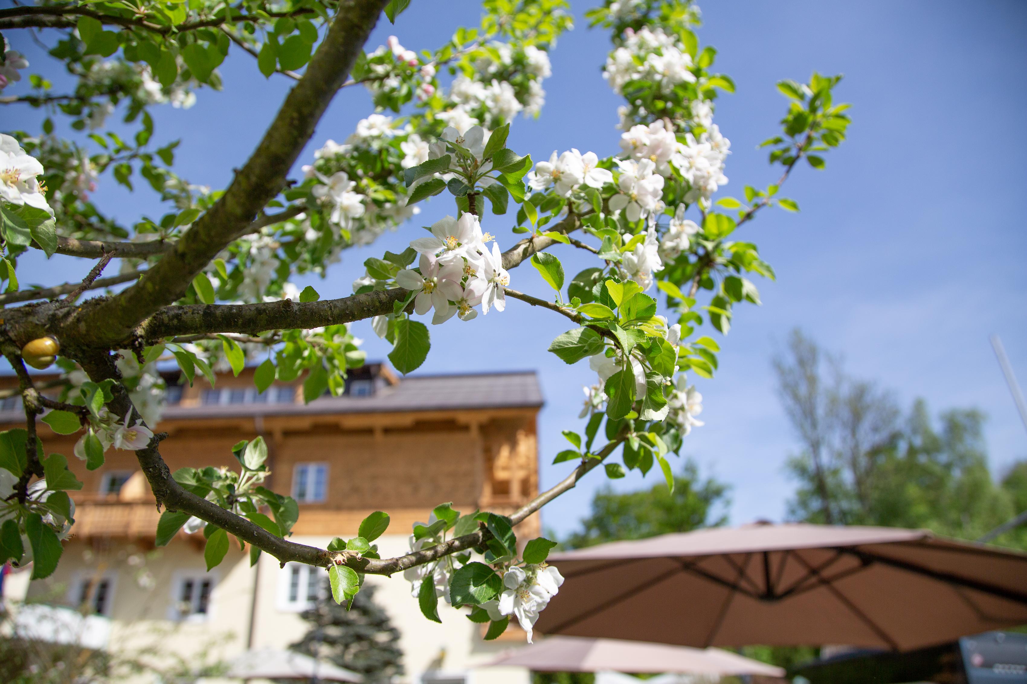 Hotel Foersterhof Lebe Pur, Geniesse Den Tag Saint Wolfgang Buitenkant foto